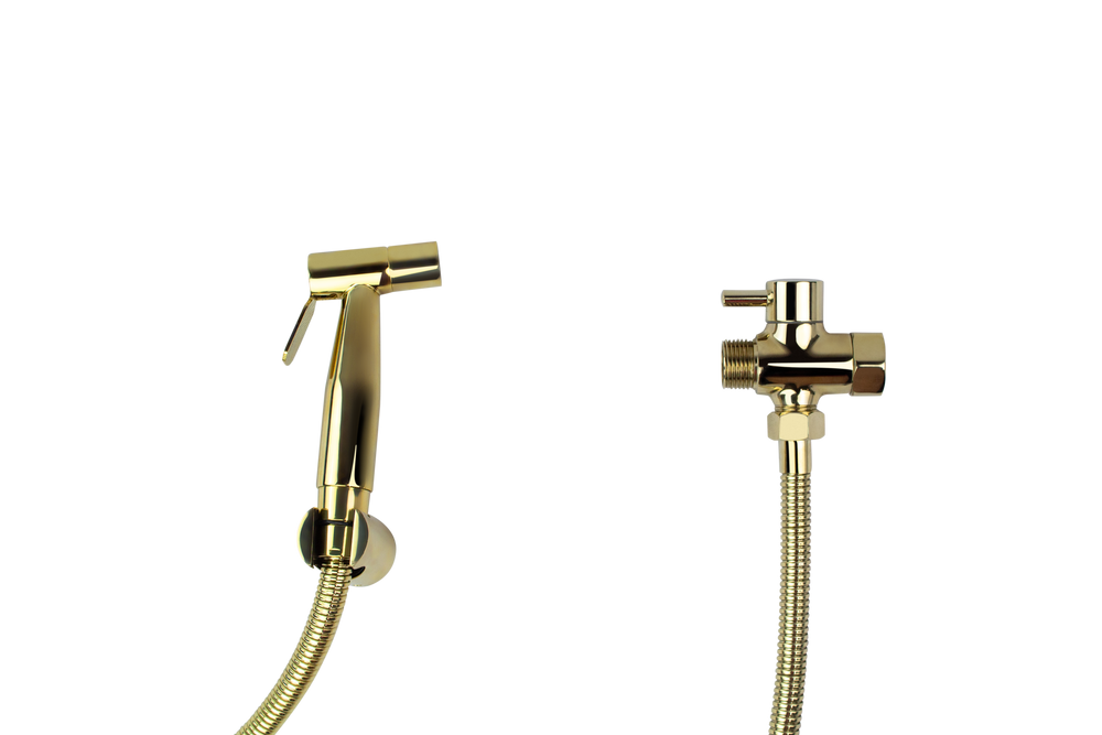 Hand-held Bidet Washlet